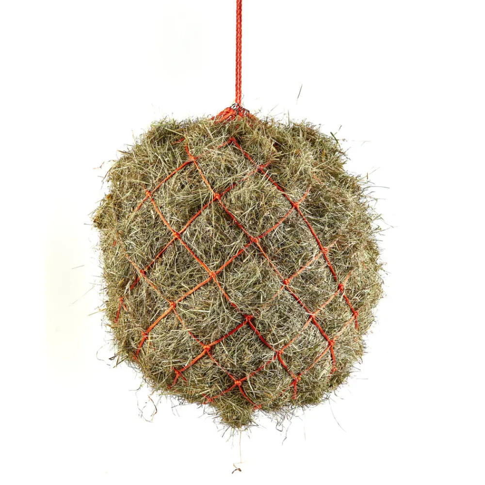 Haynet^Shires Equestrian New