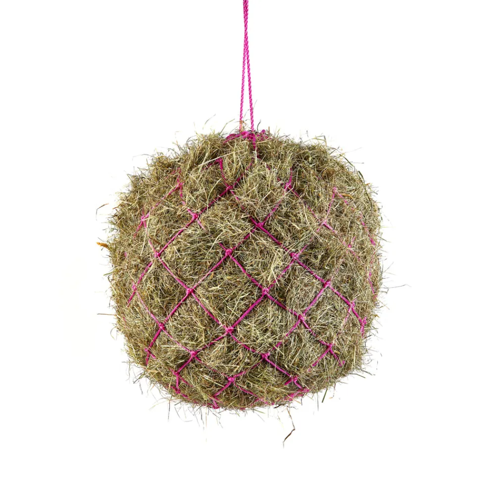 Haynet^Shires Equestrian New