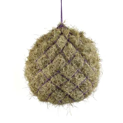 Haynet^Shires Equestrian New