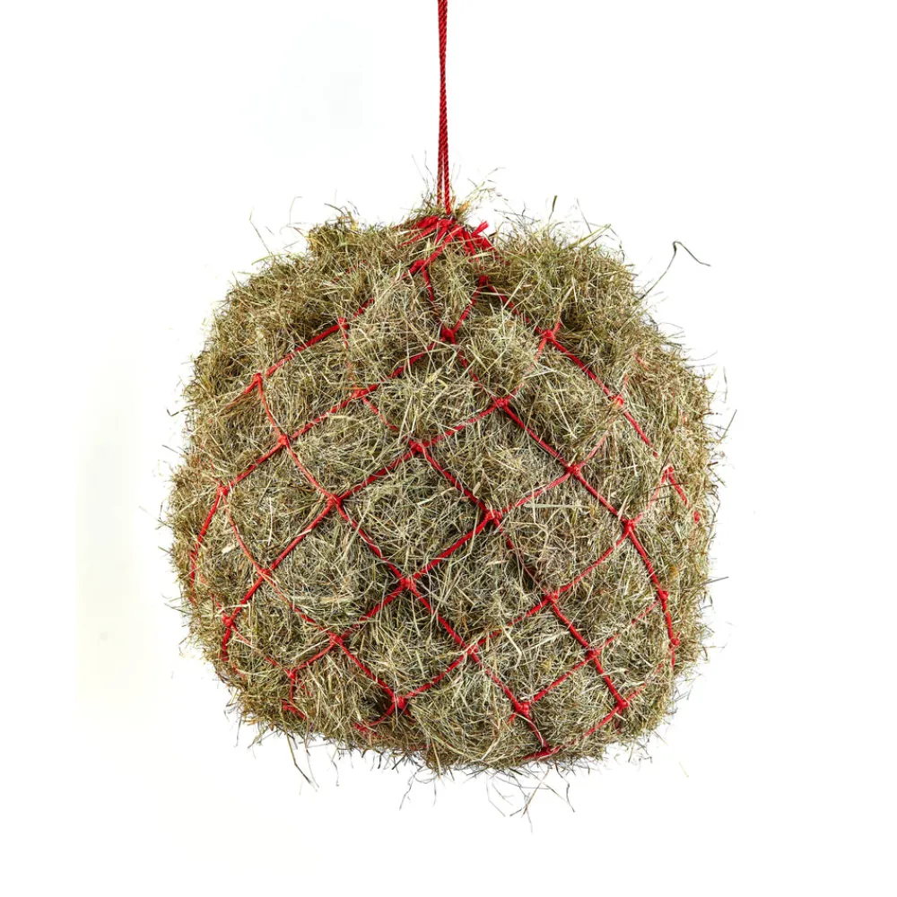 Haynet^Shires Equestrian New