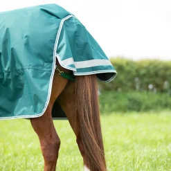 Highlander Original 300 Turnout Rug^Shires Equestrian New