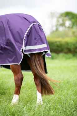 Highlander Original 100 Turnout Rug & Neck Set^Shires Equestrian Discount