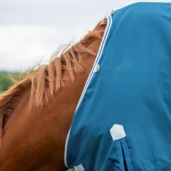 Highlander Original 50 Turnout Rug^Shires Equestrian Clearance