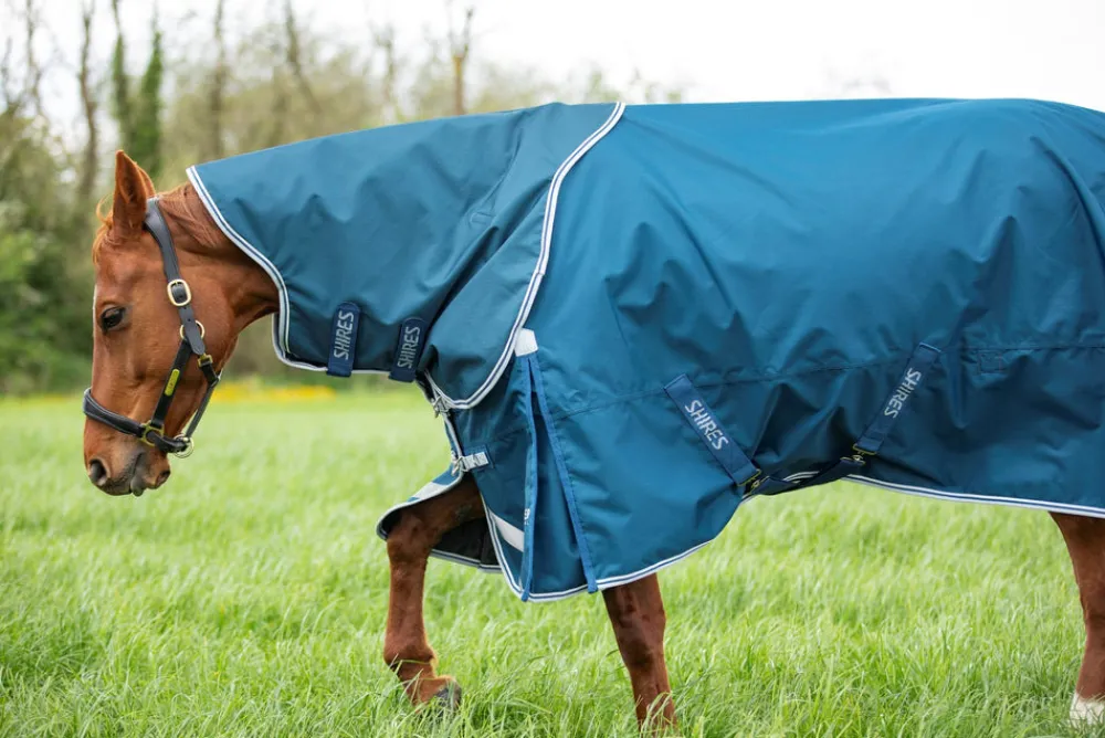 Highlander Original 50 Turnout Rug & Neck Set^Shires Equestrian Hot