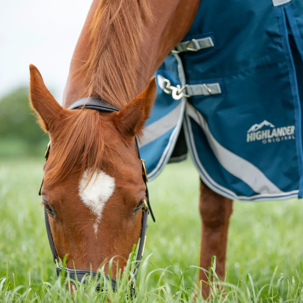 Highlander Original 50 Turnout Rug & Neck Set^Shires Equestrian Hot
