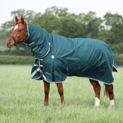 Highlander Original 300 Turnout Combo Rug^Shires Equestrian Best