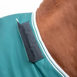 Highlander Original 300 Turnout Rug & Neck Set^Shires Equestrian