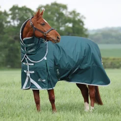 Highlander Original 300 Turnout Rug & Neck Set^Shires Equestrian
