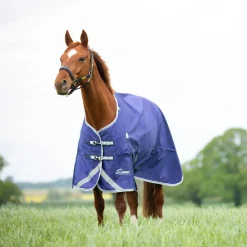 Highlander Original Lite Turnout Rug^Shires Equestrian Best