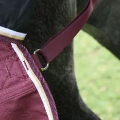 Highlander Plus 100 Combo Turnout Rug^Shires Equestrian Sale