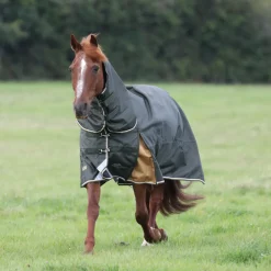 Highlander Plus 50 Combo Turnout Rug^Shires Equestrian