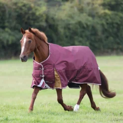 Highlander Plus 100 Turnout Rug^Shires Equestrian Best