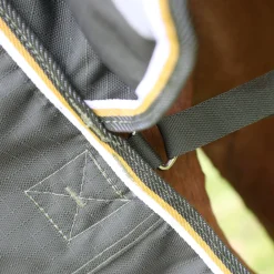 Highlander Plus 50 Turnout Rug^Shires Equestrian Best