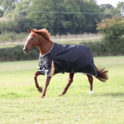 Highlander Plus 200 Turnout Rug^Shires Equestrian New
