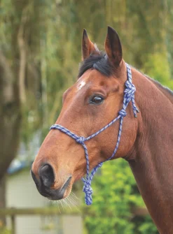 Rope Control Headcollar^Shires Equestrian Clearance
