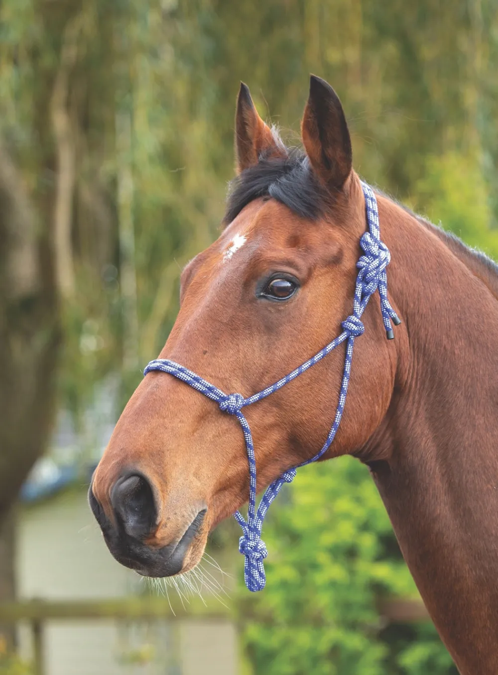 Rope Control Headcollar^Shires Equestrian Clearance