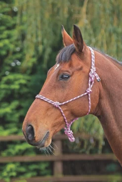 Rope Control Headcollar^Shires Equestrian Clearance