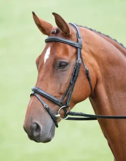 Salisbury Bodenham Bridle^Shires Equestrian Outlet