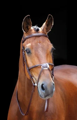 Salisbury Brackley Bridle^Shires Equestrian Discount