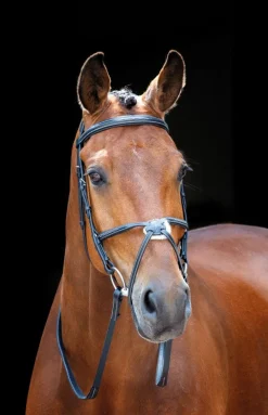 Salisbury Brackley Bridle^Shires Equestrian Discount
