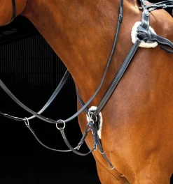 Salisbury Five Point Breastplate^Shires Equestrian Best