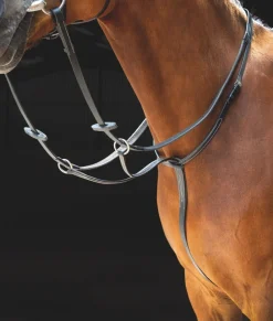 Salisbury Running Martingale^Shires Equestrian