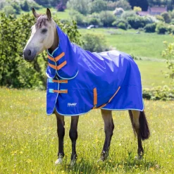 Tempest Original 50 Combo Turnout Rug^Shires Equestrian
