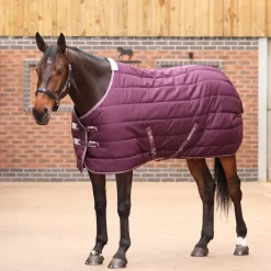 Tempest Original 300 Stable Rug^Shires Equestrian Clearance