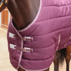 Tempest Original 300 Stable Rug^Shires Equestrian Clearance