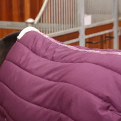 Tempest Original 300 Stable Rug^Shires Equestrian Clearance