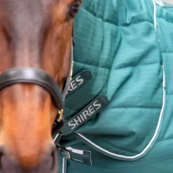 Tempest Original 200 Stable Rug & Neck^Shires Equestrian
