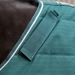 Tempest Original 200 Stable Rug & Neck^Shires Equestrian