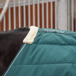 Tempest Original 200 Stable Rug^Shires Equestrian Clearance