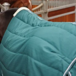 Tempest Original 200 Stable Rug^Shires Equestrian Clearance