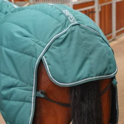 Tempest Original 200 Stable Rug^Shires Equestrian Clearance