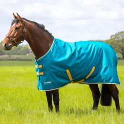 Tempest Original 50 Turnout Rug^Shires Equestrian Discount