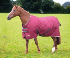 Tempest Original 200 Turnout Rug^Shires Equestrian Discount