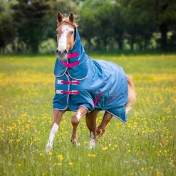 Tempest Original Lite Turnout Combo Rug^Shires Equestrian Sale