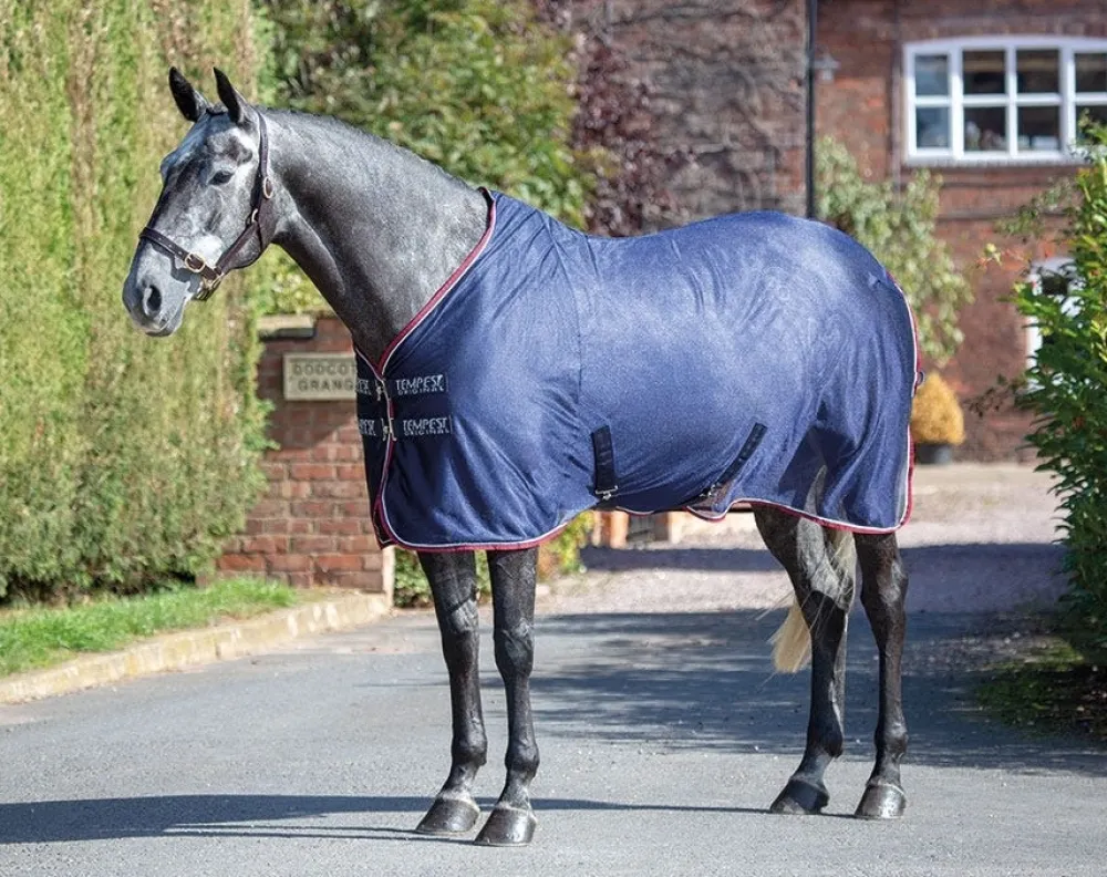 Tempest Original Mesh Cooler Rug^Shires Equestrian Online