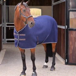 Tempest Original Tech Cooler Rug^Shires Equestrian Hot