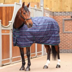 Tempest Plus 100 Stable Rug^Shires Equestrian Sale
