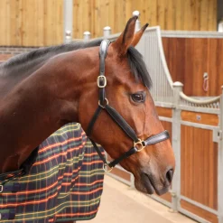 Tempest Plus Lite Stable Rug^Shires Equestrian