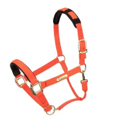 Topaz Nylon Headcollar^Shires Equestrian Hot
