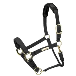 Topaz Nylon Headcollar^Shires Equestrian Hot