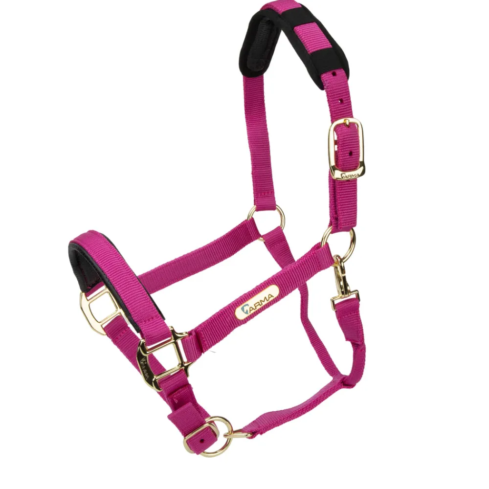 Topaz Nylon Headcollar^Shires Equestrian Hot