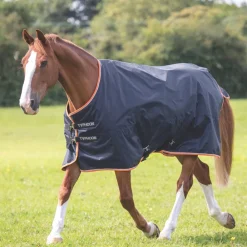 Typhoon 200 Turnout Rug^Shires Equestrian Discount