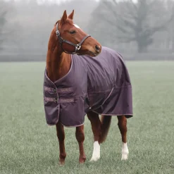 Typhoon 100 Turnout Rug^Shires Equestrian Hot