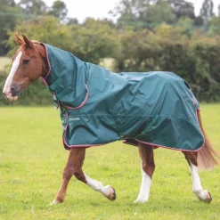 Typhoon Lite Combo Turnout Rug^Shires Equestrian Best