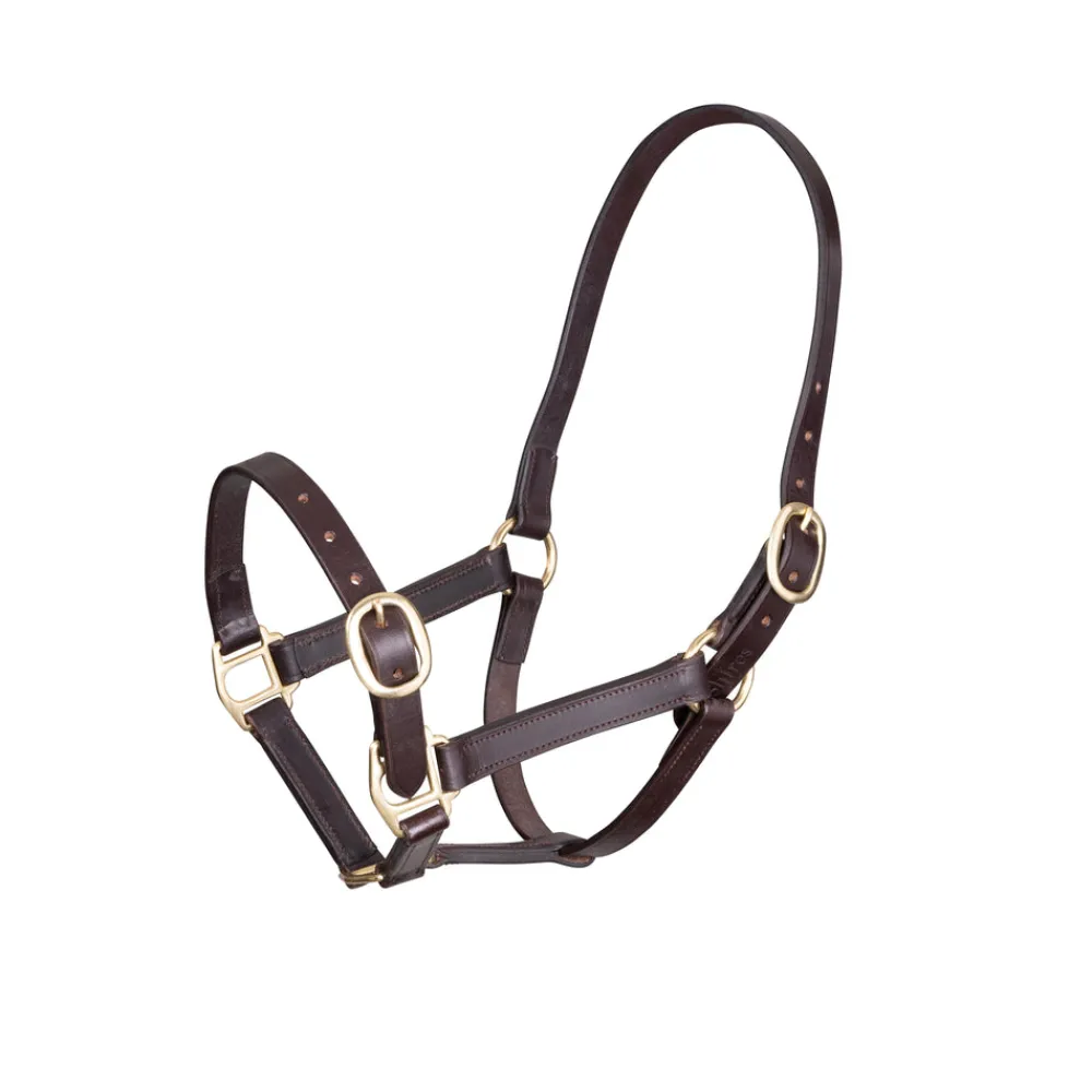 Velociti GARA Adjustable Leather Headcollar^Shires Equestrian Outlet