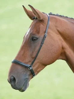 Velociti GARA Drop Noseband^Shires Equestrian Discount